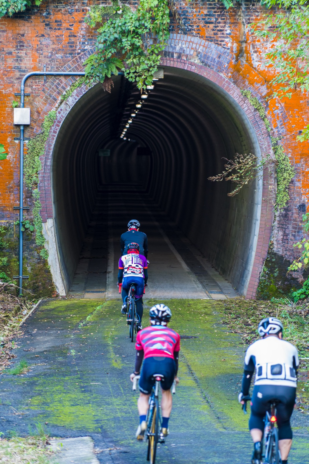 久比岐自転車道の百川トンネル