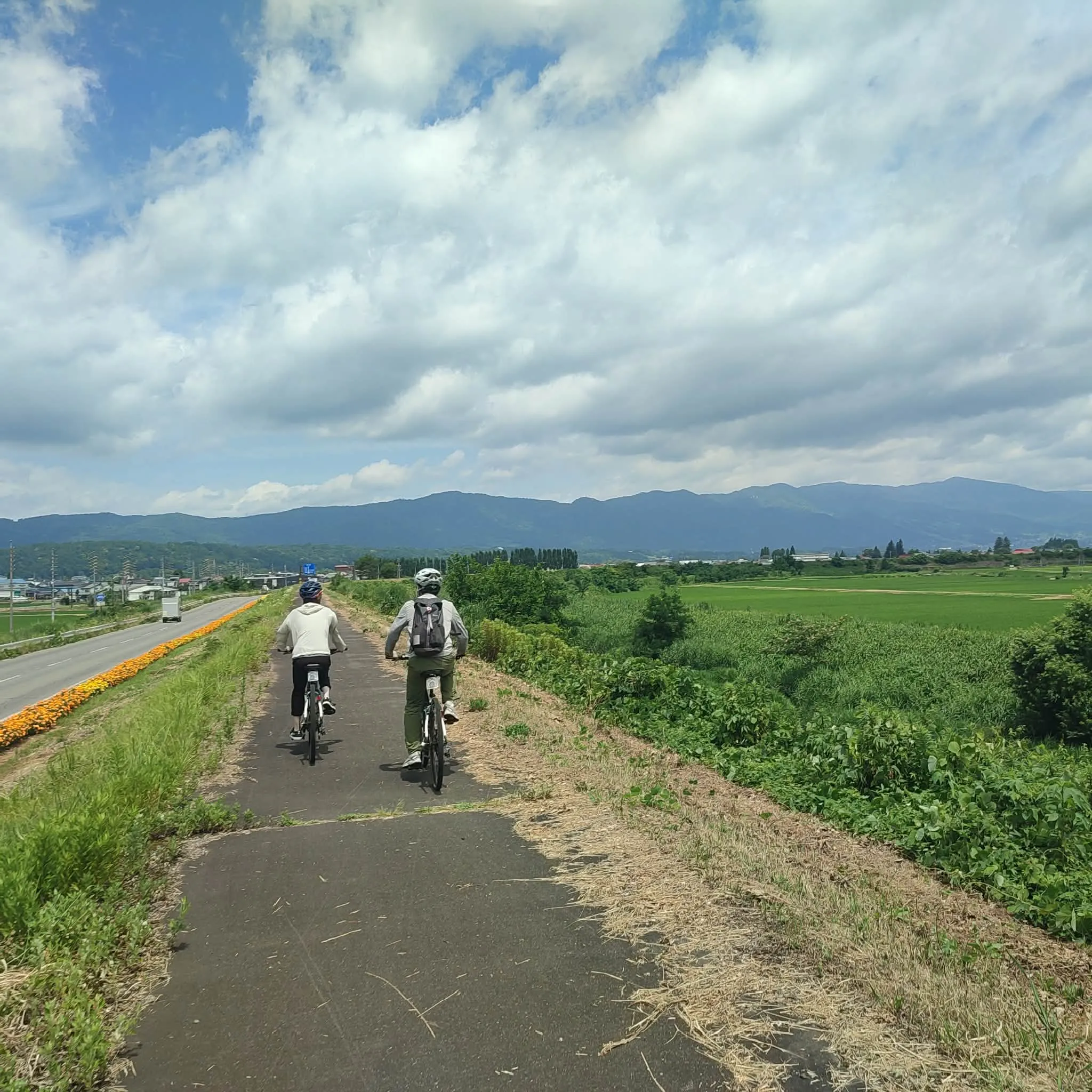 飯山線沿線の田園風景を自転車で走る参加者